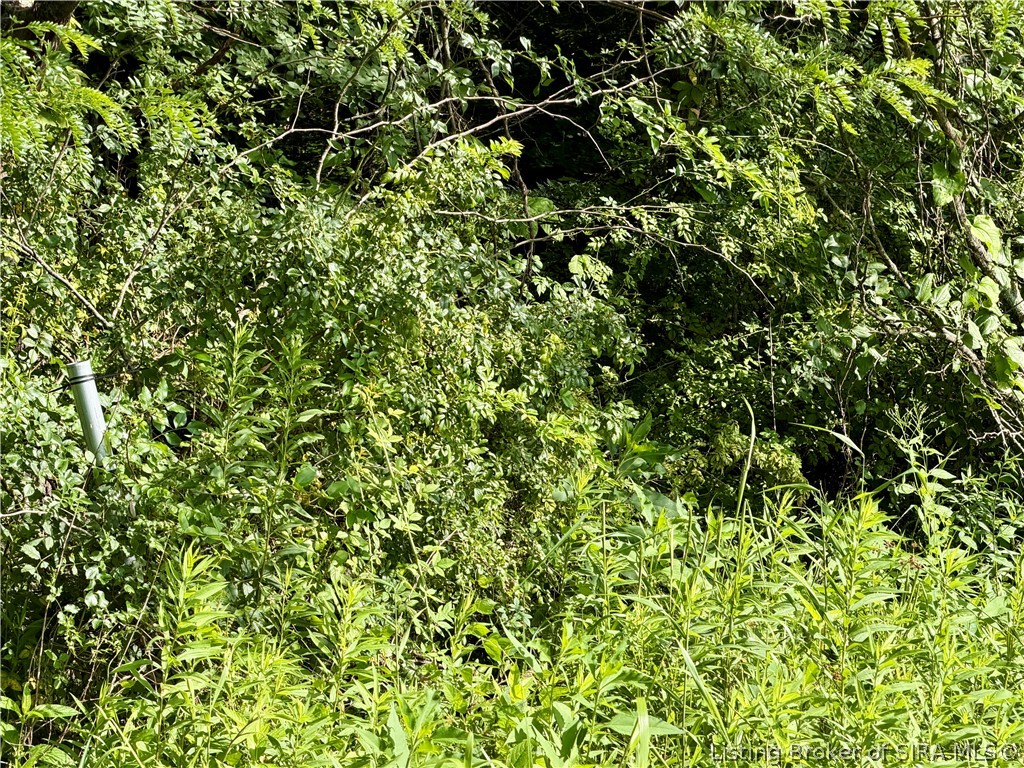 T1) Street West Scottsburg, IN 47170 - Photo 6 of 19