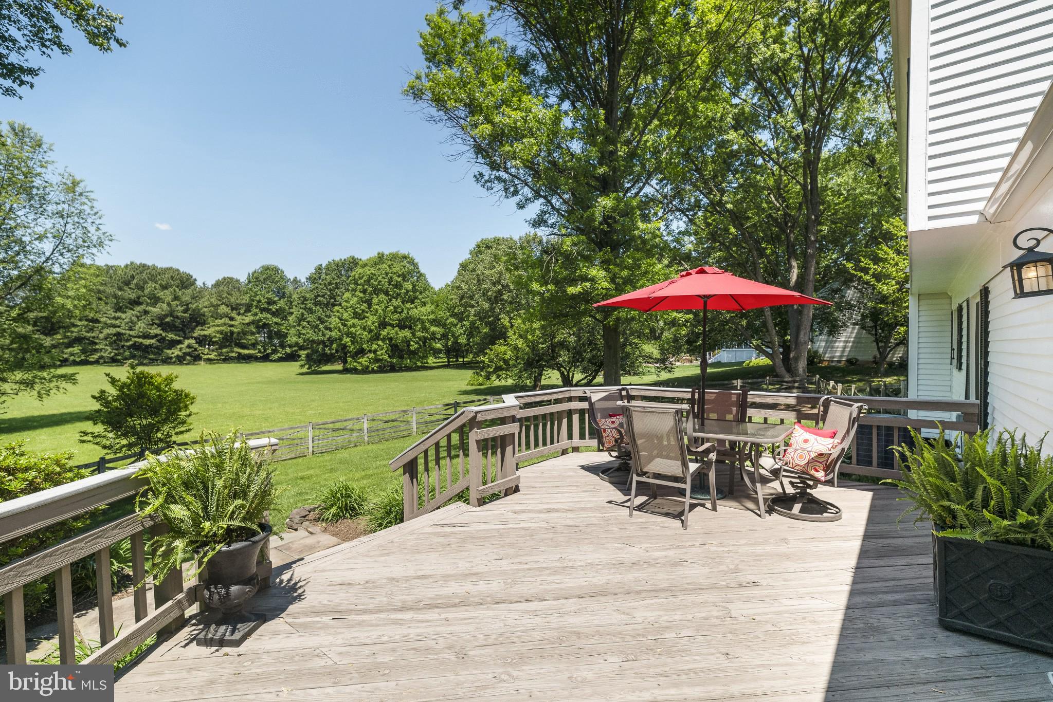 924 Riva Ridge Drive Great Falls, VA 22066 - Photo 2 of 44 Incredible Lot & Setting... Overlooking Acres!