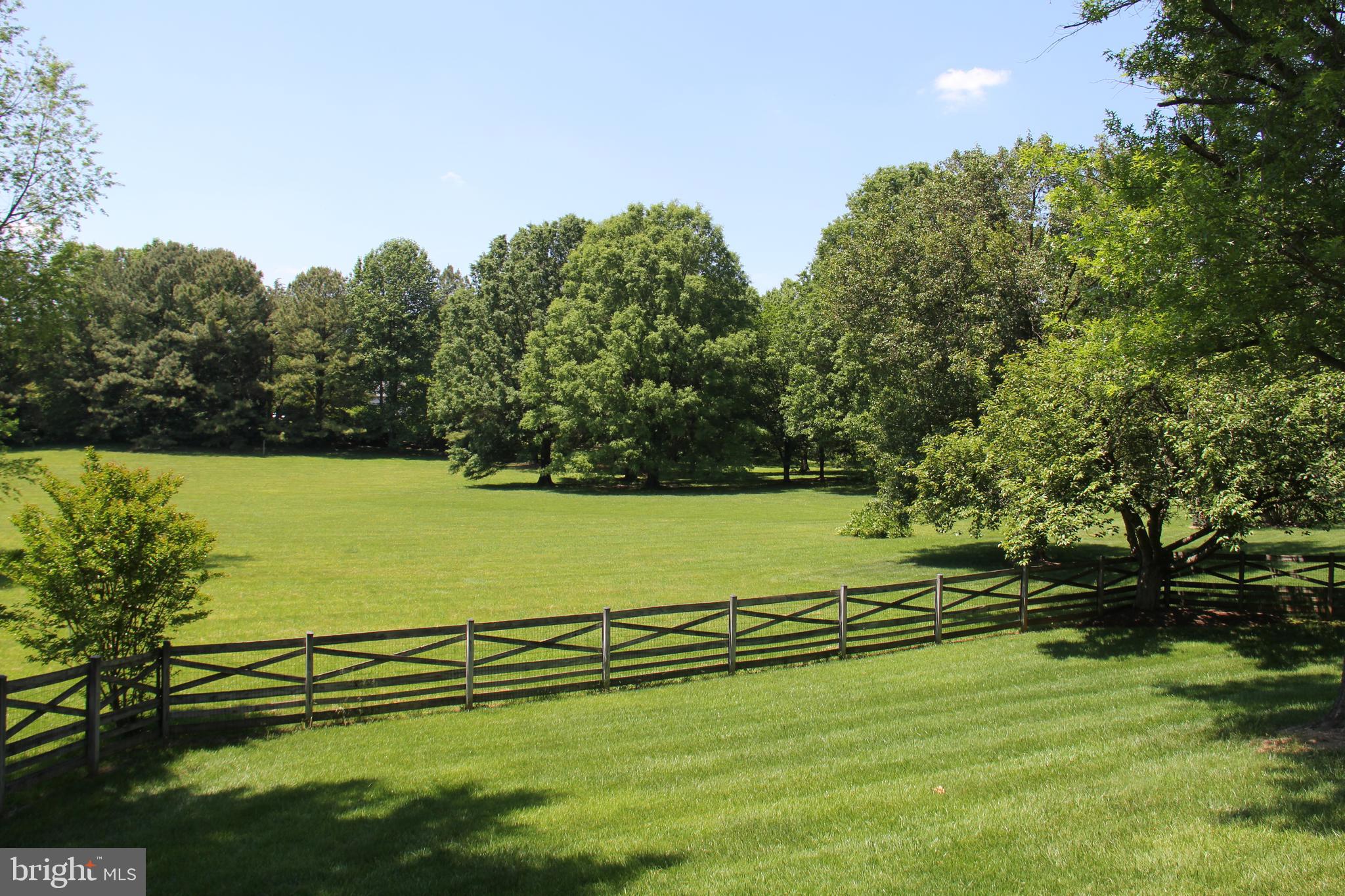 924 Riva Ridge Drive Great Falls, VA 22066 - Photo 3 of 44 Backing to Idyllic Areas of Open Community Space!