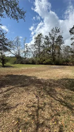 a view of a yard with large trees