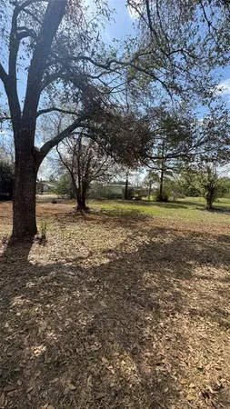 a view of a field with a trees