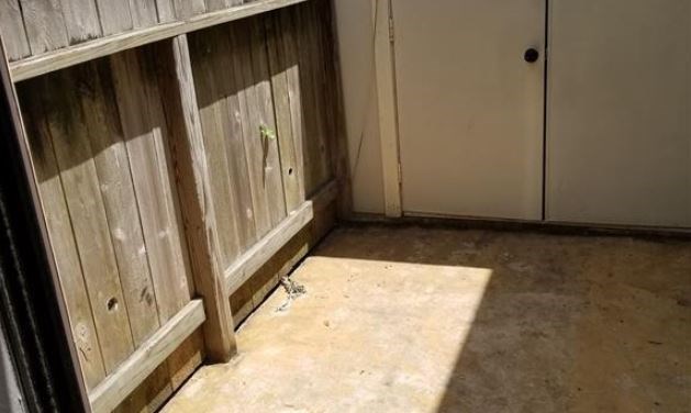 8100 Cambridge Street, Unit 89 Houston, TX 77054 - Photo 14 of 15