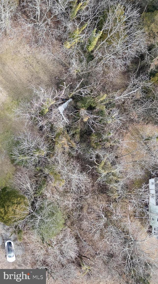 655 Buckshutem Road Bridgeton, NJ 08302 - Photo 3 of 7 a close up of a plant in a field