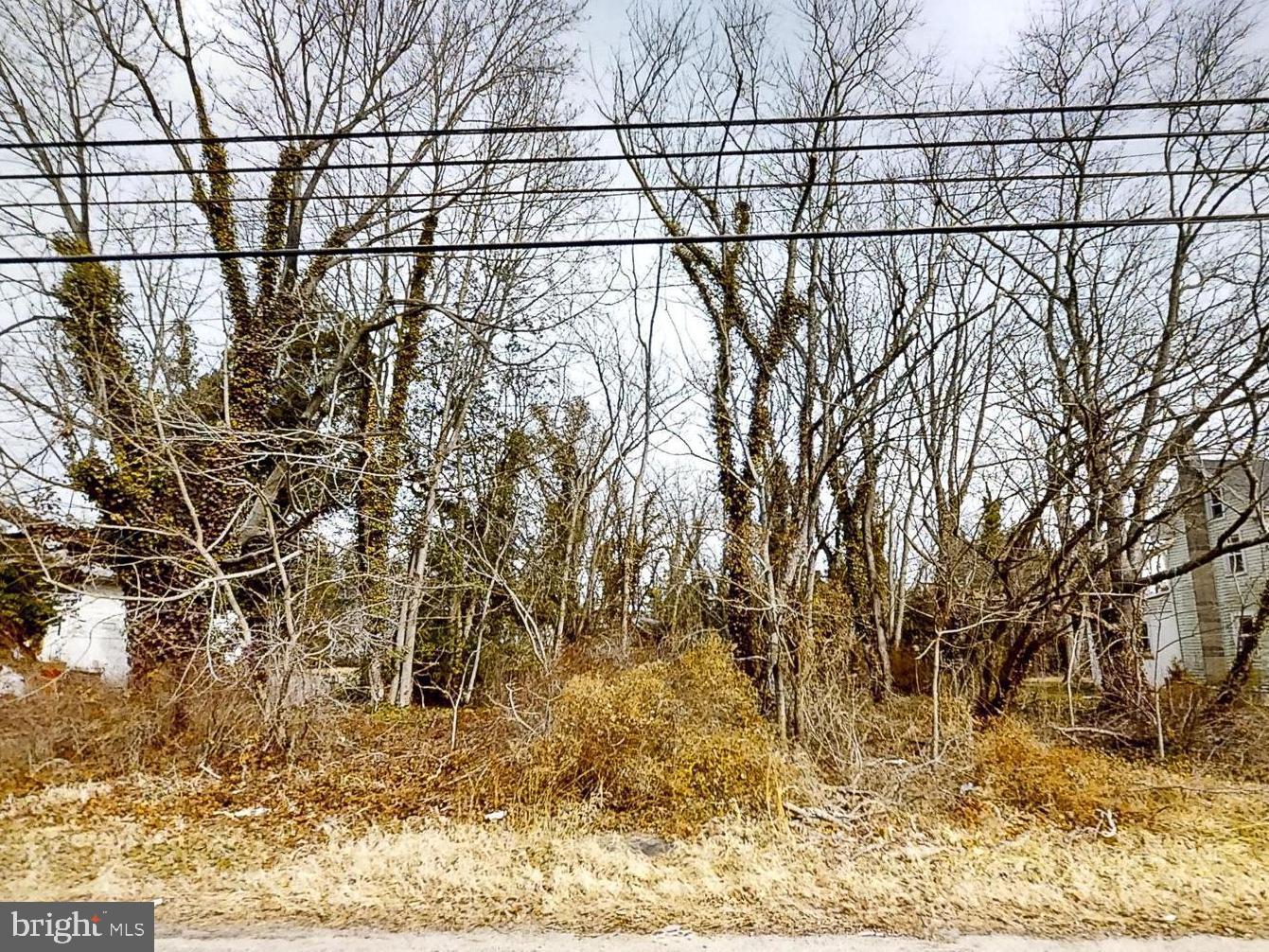 655 Buckshutem Road Bridgeton, NJ 08302 - Photo 5 of 7 a backyard of a house