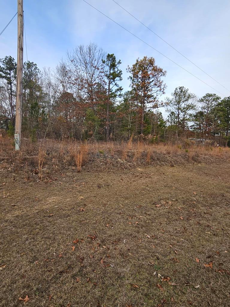471 Old Louvale Road Cusseta, GA 31805 - Photo 25 of 26 Gallery Image 25