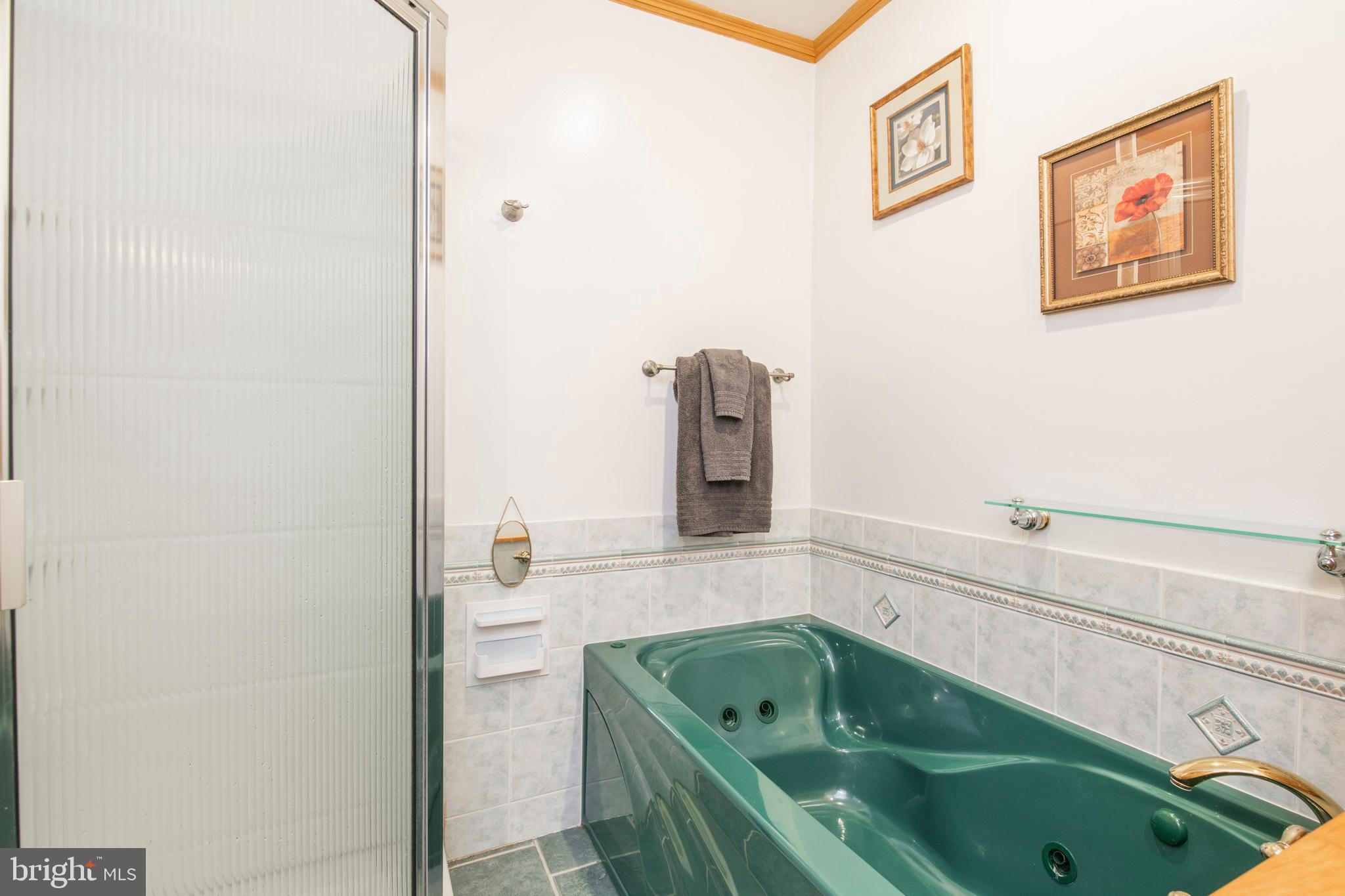 310 Ripka Street, Unit A Philadelphia, PA 19128 - Photo 30 of 48