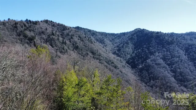 a view of a dry field