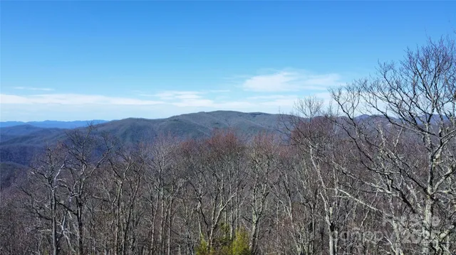 a view of mountain with trees in the background