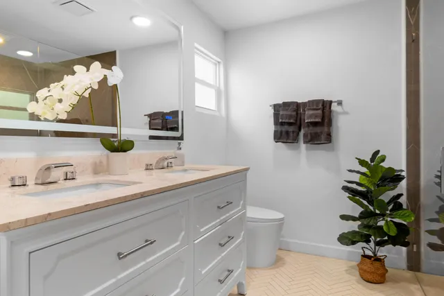 a bathroom with a potted plant on the counter and mirror