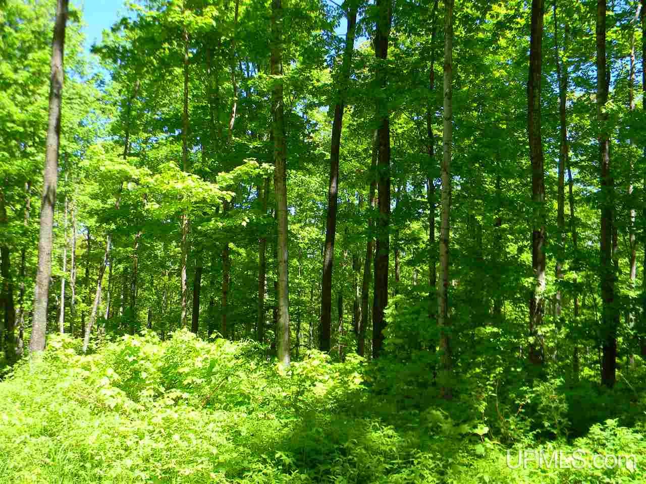 Tbd Rauhala Road, Unit LOT 5 COLES CREEK SUBDIV Atlantic Mine, MI 49931 - Photo 6 of 10