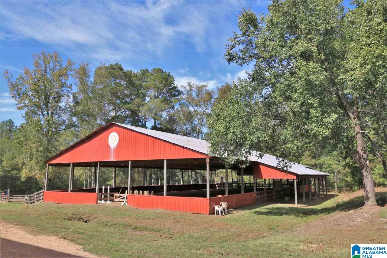 8460 Wolf Creek Road South Pell City, AL 35128 - Photo 2 of 49