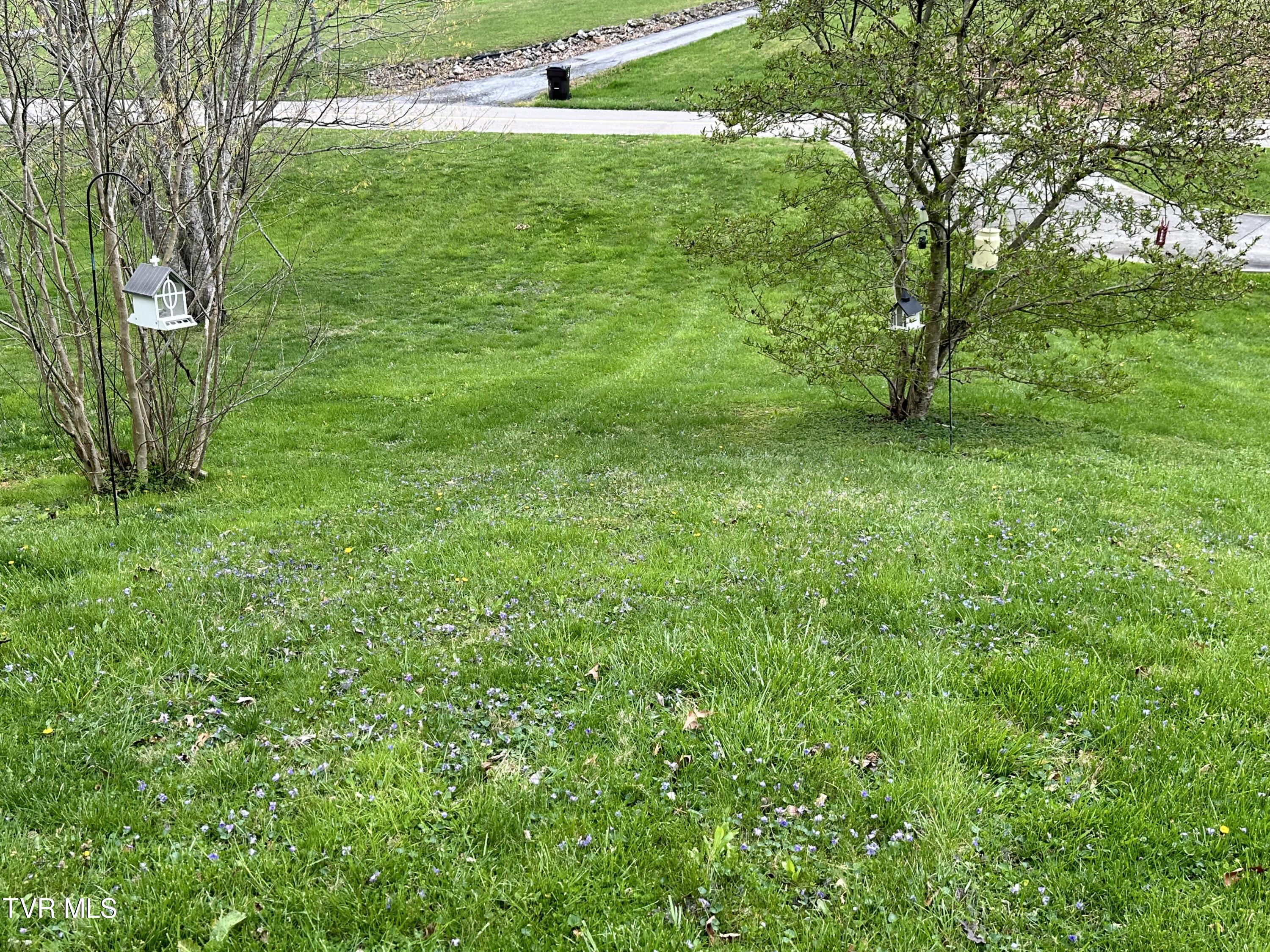 360 Emmett Road Bristol, TN 37620 - Photo 30 of 35 IMG_2750