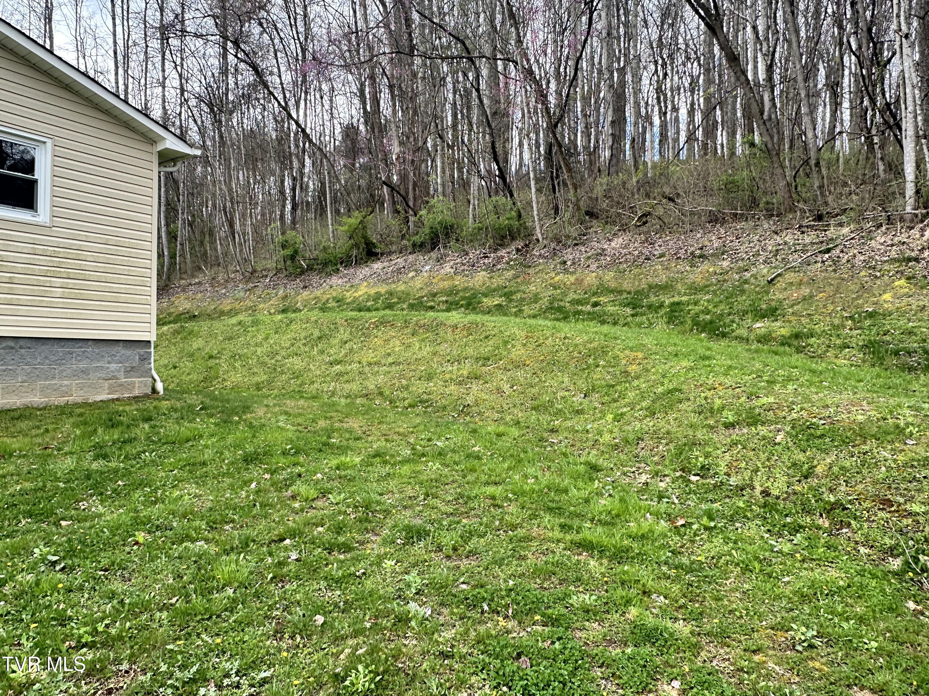360 Emmett Road Bristol, TN 37620 - Photo 32 of 35 IMG_2754