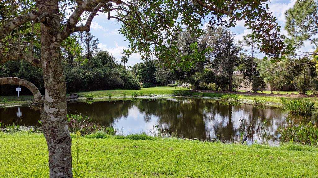 10812 Bullrush Terrace Lakewood Ranch, FL 34202 - Photo 3 of 44 a body of water with a tree in the background
