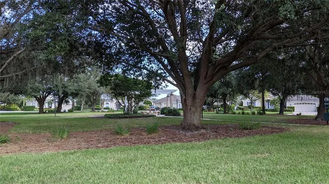 a view of a garden with trees