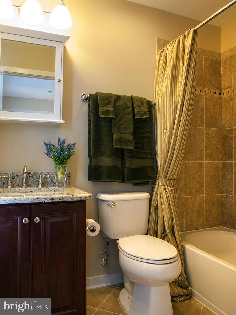 306 K Street Southeast Washington, DC 20003 - Photo 29 of 30 Fourth Level Tree Top Master Suite Bath East