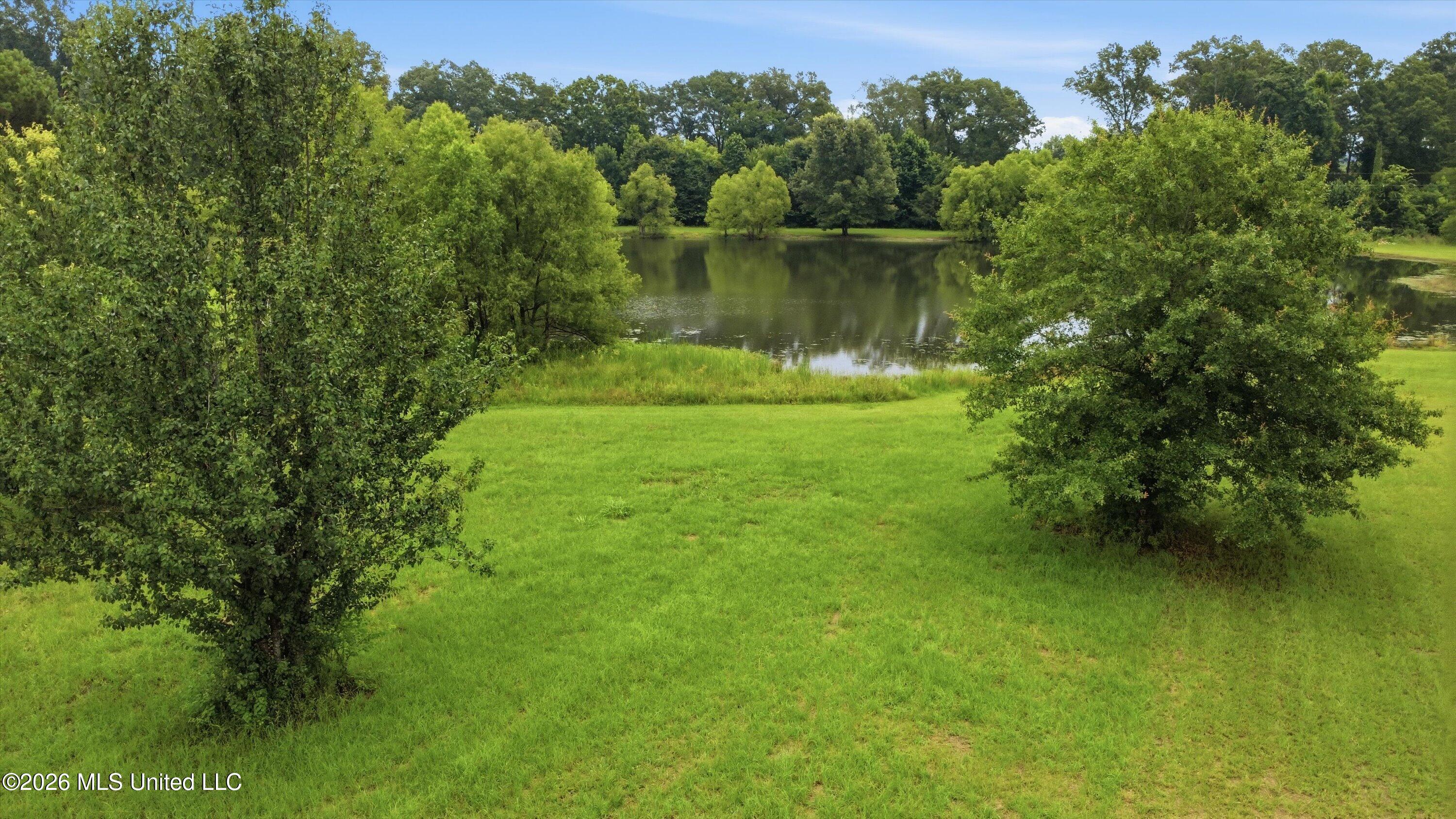 142 Iron Oak Ridge Brandon, MS 39042 - Photo 19 of 26 23-142_Iron_Oak_Ridgee_024