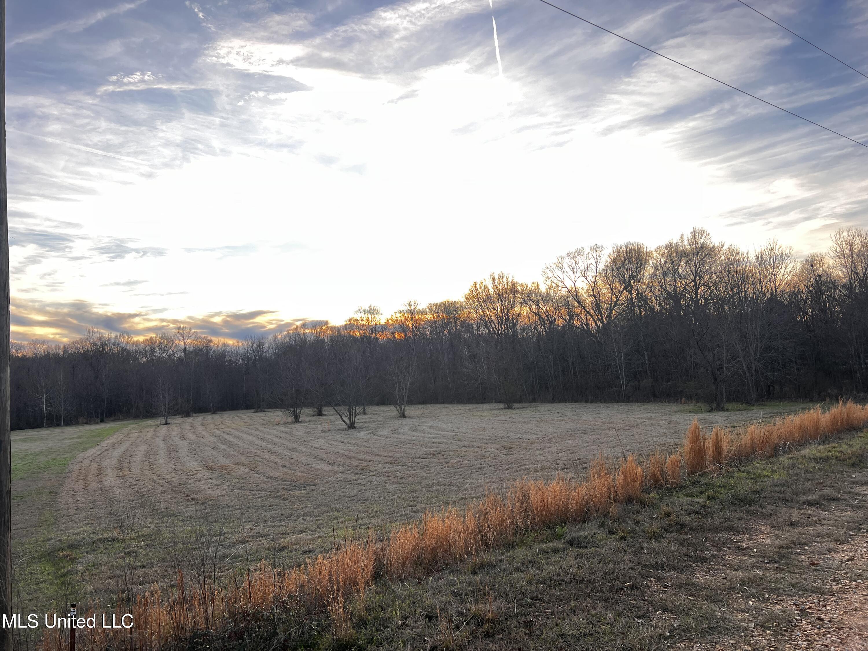 183 Central Boulevard Flora, MS 39071 - Photo 1 of 4 IMG_0782