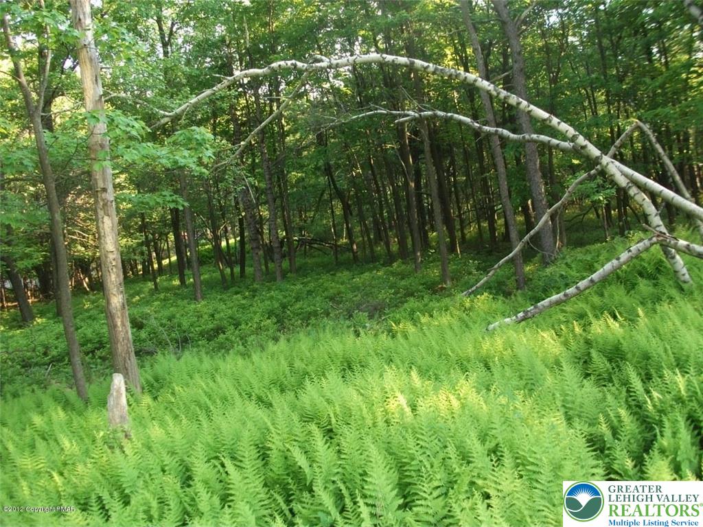 Mountain Road Albrightsville, PA 18210 - Photo 11 of 20 Lot EV961 Stony Mountain Road