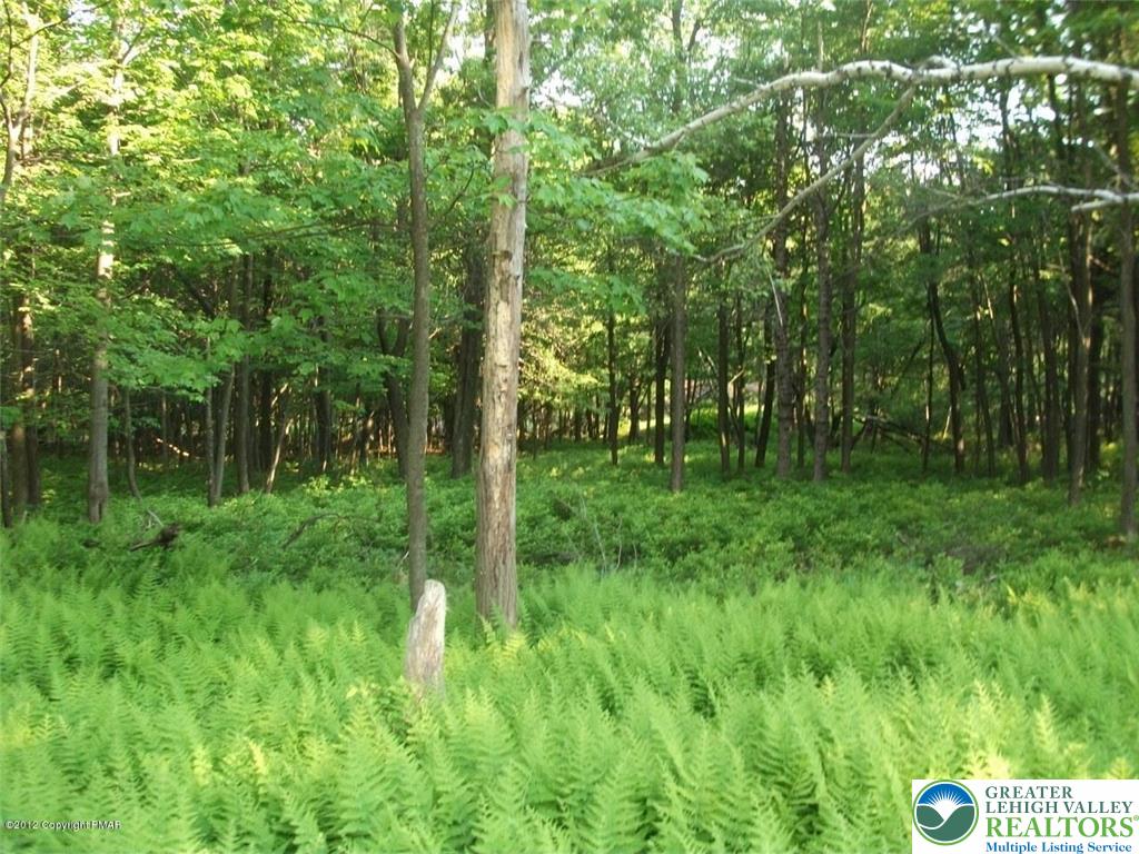 Mountain Road Albrightsville, PA 18210 - Photo 12 of 20 Lot EV961 Stony Mountain Road