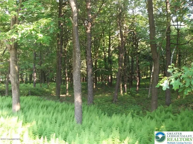 a big yard with lots of green space and deers