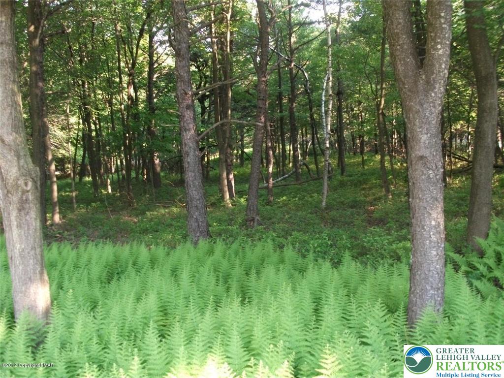 Mountain Road Albrightsville, PA 18210 - Photo 16 of 20 Lot EV961 Stony Mountain Road