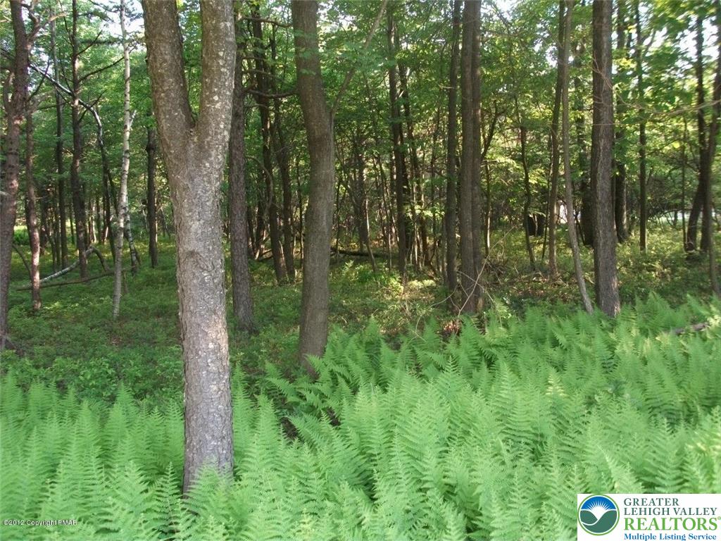 Mountain Road Albrightsville, PA 18210 - Photo 17 of 20 Lot EV961 Stony Mountain Road