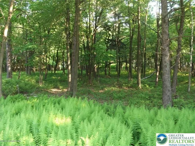 a backyard of a house with lots of green space and trees