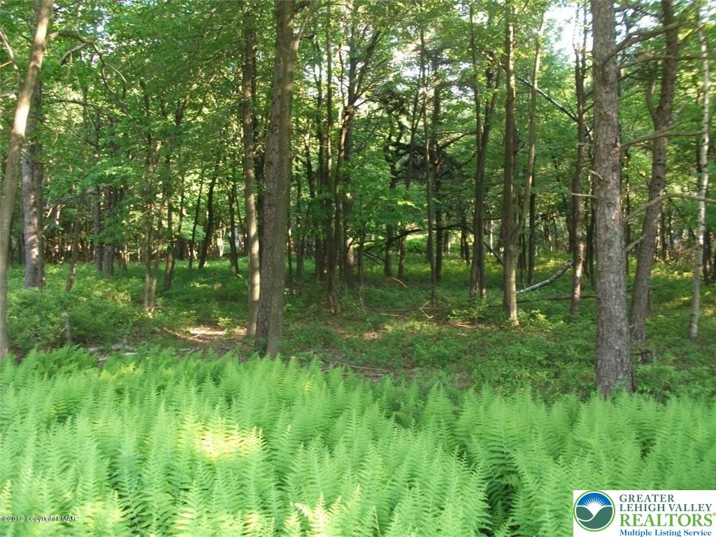 Mountain Road Albrightsville, PA 18210 - Photo 18 of 20 Lot EV961 Stony Mountain Road