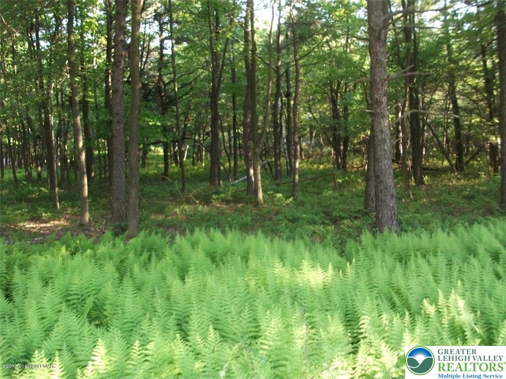 Mountain Road Albrightsville, PA 18210 - Photo 19 of 20 Lot EV961 Stony Mountain Road