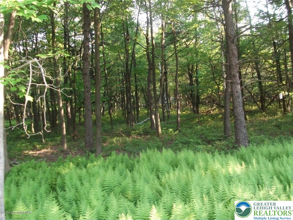 Mountain Road Albrightsville, PA 18210 - Photo 20 of 20 Lot EV961 Stony Mountain Road