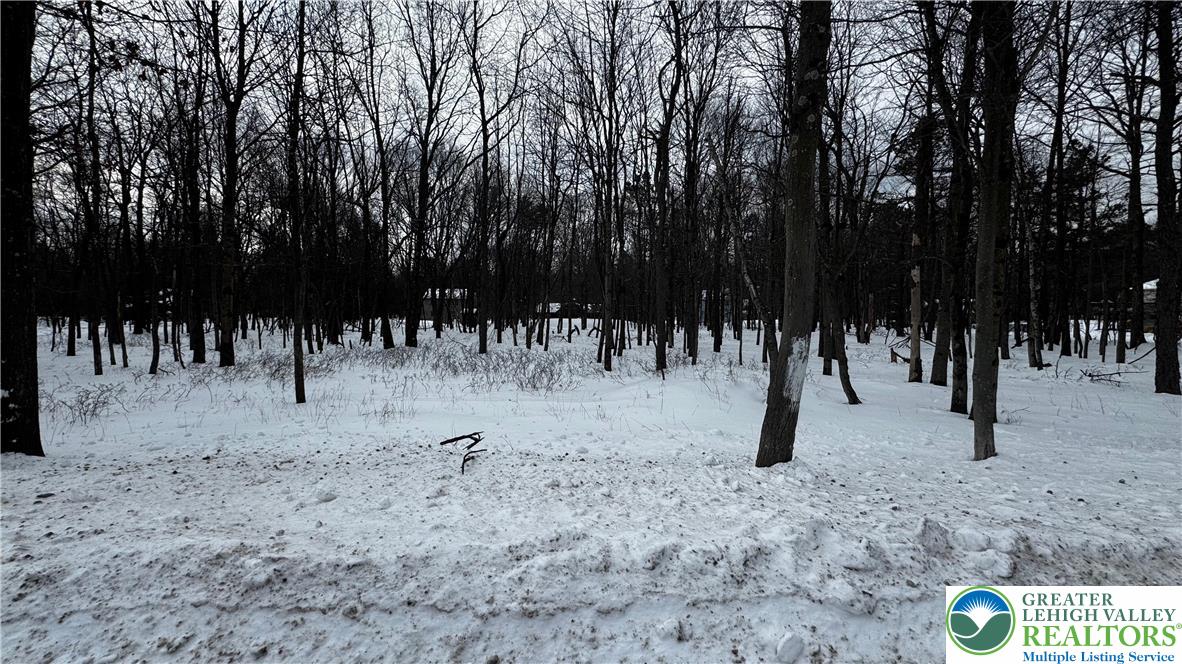 Mountain Road Albrightsville, PA 18210 - Photo 2 of 20 Lot EV961 Stony Mountain Road