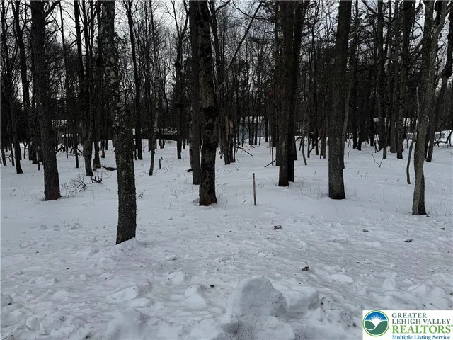 a view of water with trees