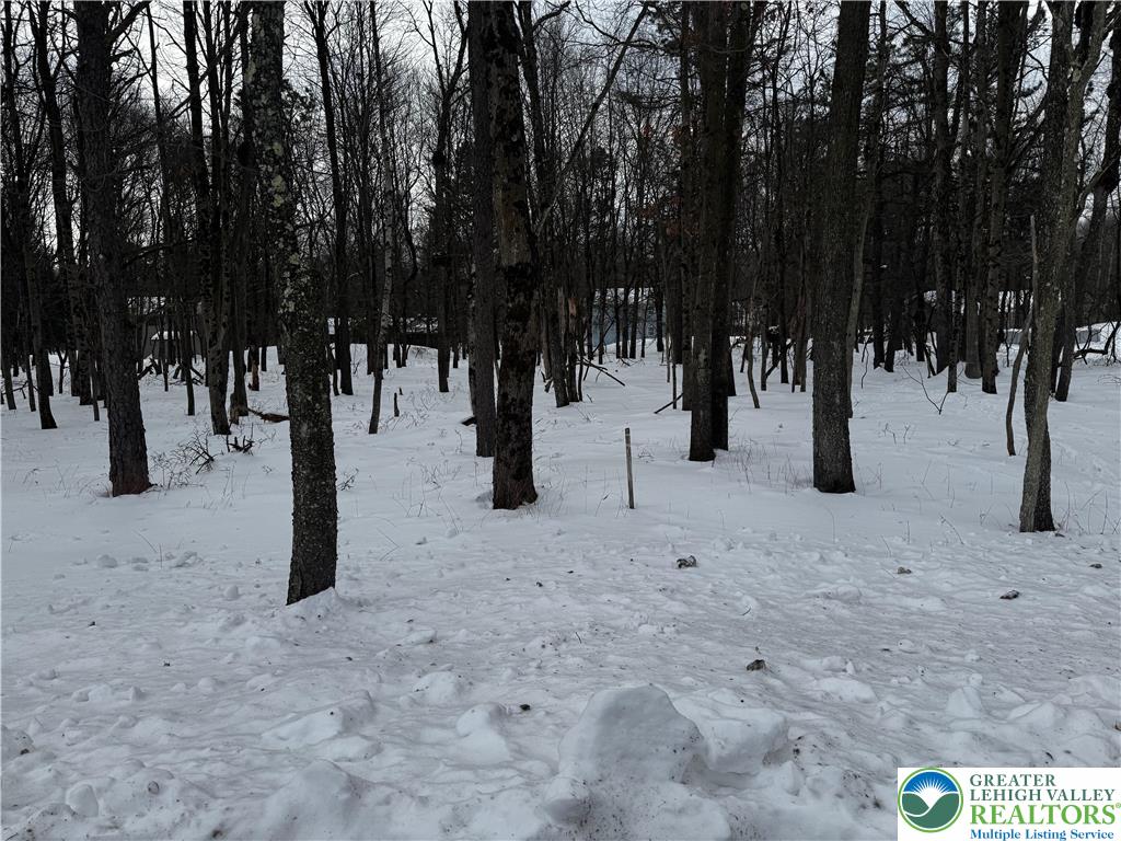 Mountain Road Albrightsville, PA 18210 - Photo 4 of 20 Lot EV961 Stony Mountain Road