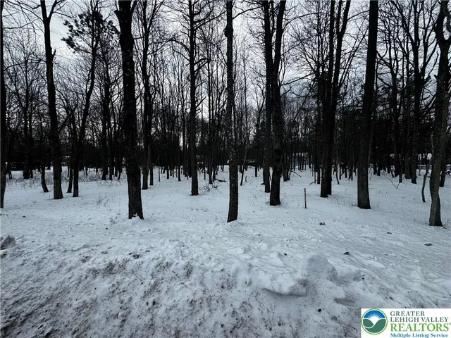 a view of park with trees