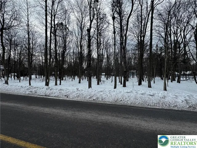 a view of a street with trees