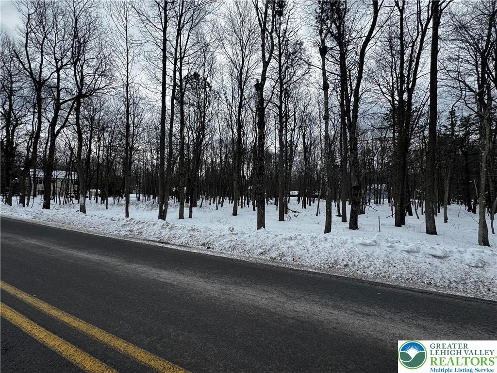 Mountain Road Albrightsville, PA 18210 - Photo 8 of 20 Lot EV961 Stony Mountain Road