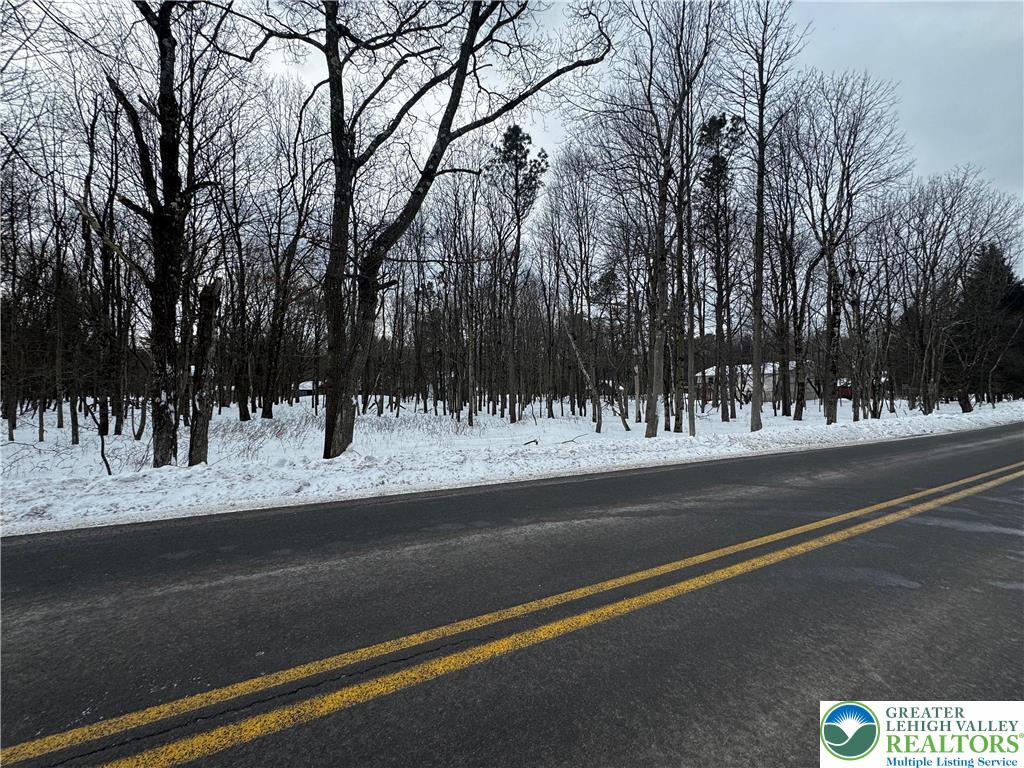 Mountain Road Albrightsville, PA 18210 - Photo 9 of 20 Lot EV961 Stony Mountain Road