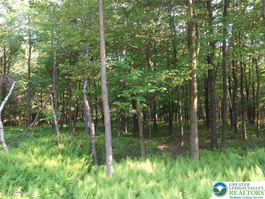 Mountain Road Albrightsville, PA 18210 - Photo 10 of 20 Lot EV961 Stony Mountain Road