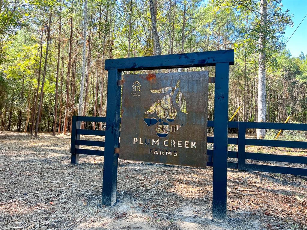 13 Fm 350 Livingston Tx  