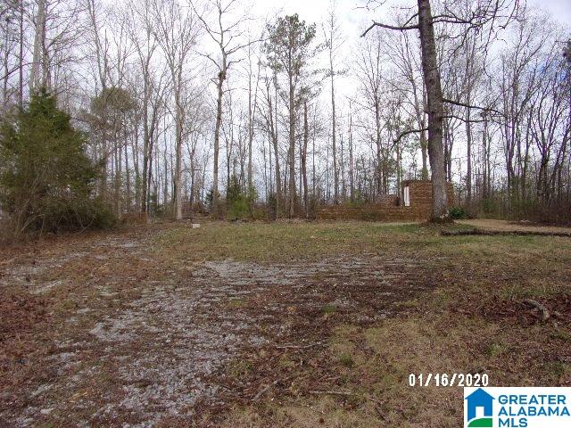 5736 County Road 51 Clanton, AL 35046 - Photo 3 of 7