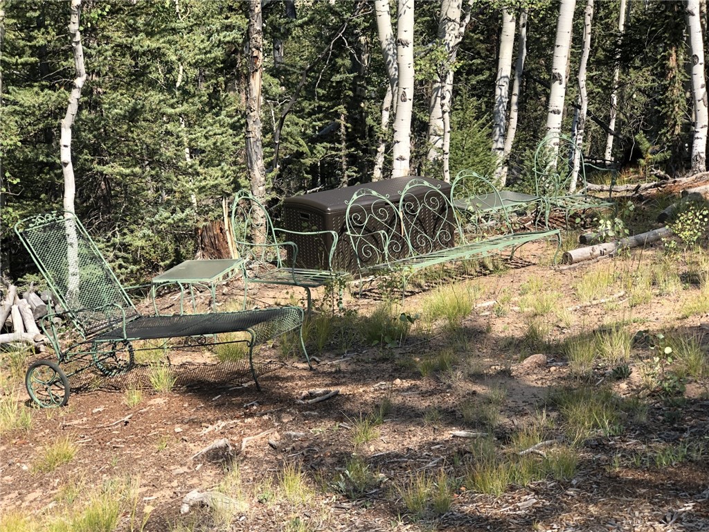 157 Old Squaw Road Como, CO 80432 - Photo 10 of 16 Gallery Image 10