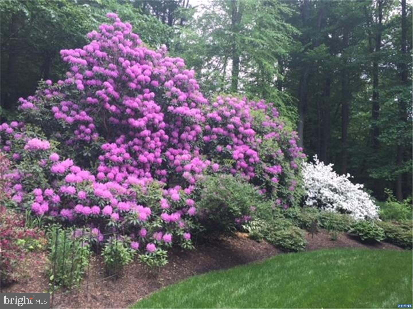 41 Ridings Way Chadds Ford, PA 19317 - Photo 23 of 25