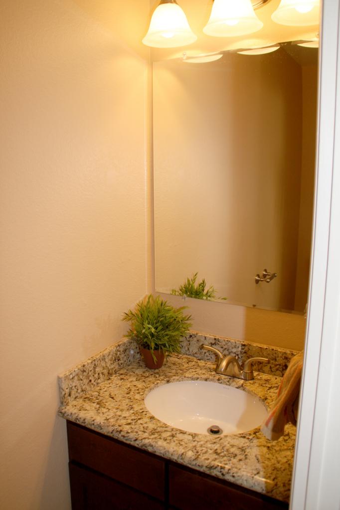 1226 East Utopia Road Phoenix, AZ 85024 - Photo 25 of 38 Powder Room