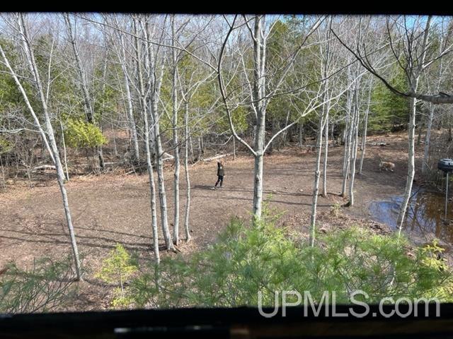 4028 Cedar Bay Road Calumet, MI 49913 - Photo 66 of 69 Gallery Image 66