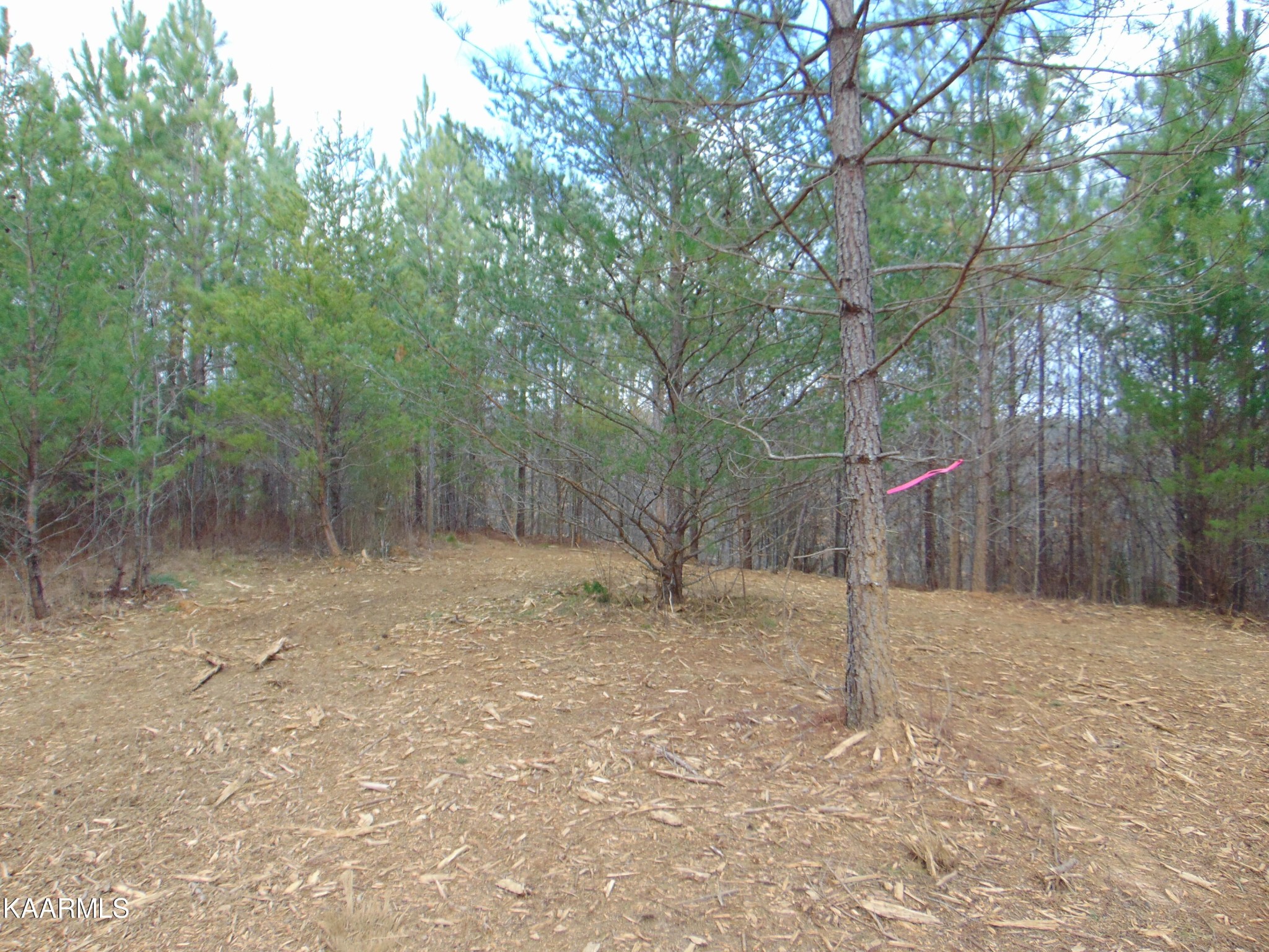 14 Athens Road Calhoun, TN 37309 - Photo 18 of 50 Gallery Image 18