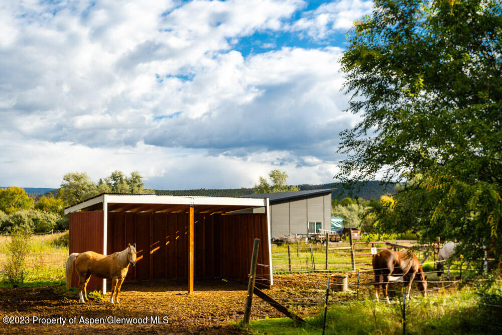 271 Willow Lane Carbondale, CO 81623 - Photo 17 of 25 271WillowLn_WEB_23092105 - Copy