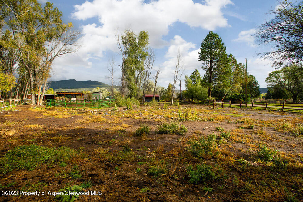 271 Willow Lane Carbondale, CO 81623 - Photo 20 of 25 271WillowLn_WEB_23092107 - Copy