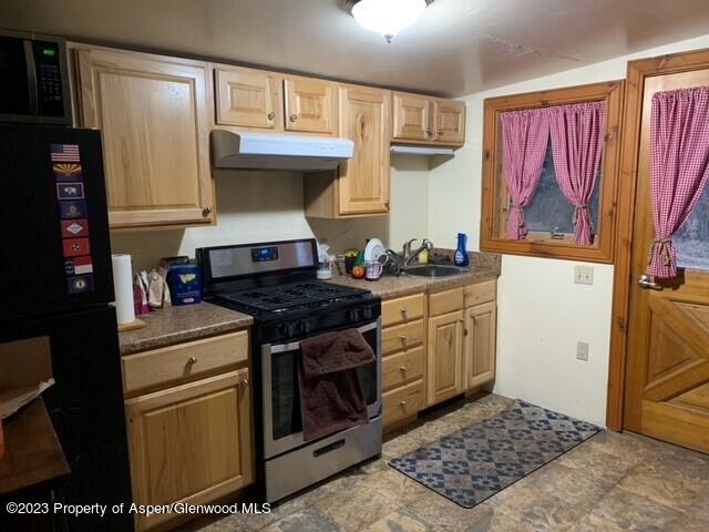 271 Willow Lane Carbondale, CO 81623 - Photo 25 of 25 kitchen guest