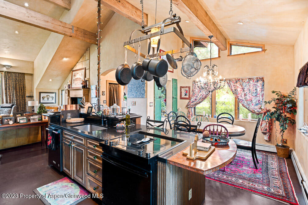 271 Willow Lane Carbondale, CO 81623 - Photo 5 of 25 271WillowLn_WEB_23092133